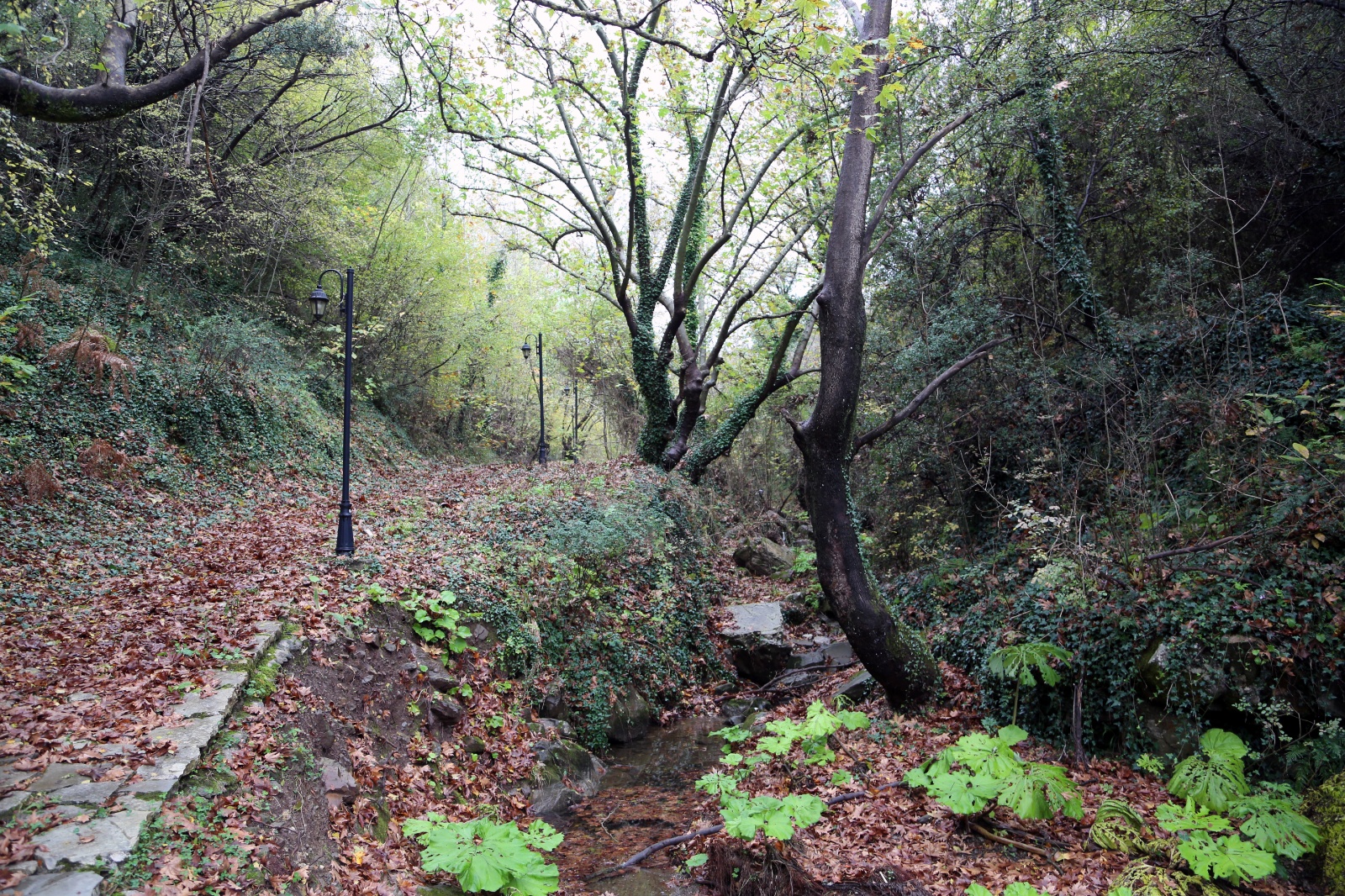 Ampeliona, Chestnut Festival
